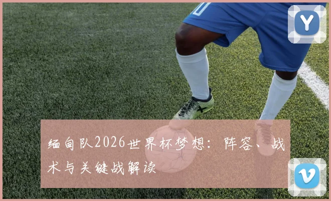 缅甸队2026世界杯梦想:阵容、战术与关键战解读
