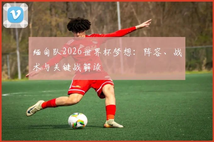 缅甸队2026世界杯梦想:阵容、战术与关键战解读
